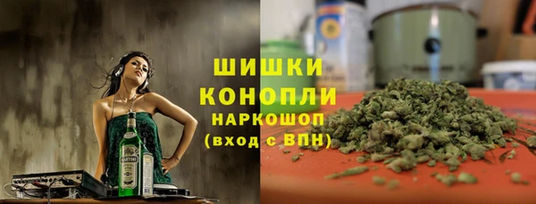 ГАЛЛЮЦИНОГЕННЫЕ ГРИБЫ Бородино