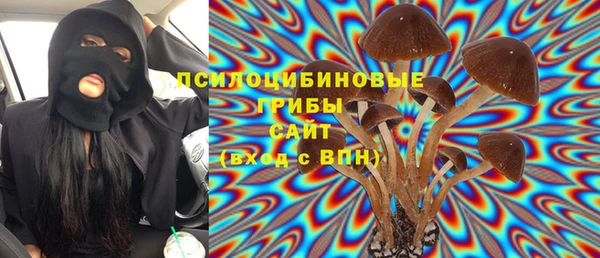 ГАЛЛЮЦИНОГЕННЫЕ ГРИБЫ Бородино