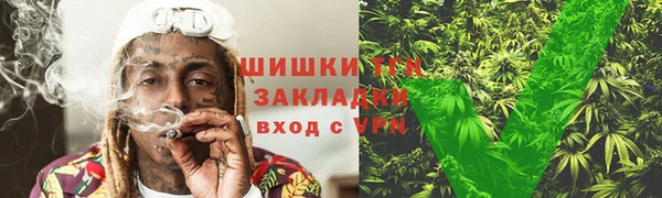 ГАЛЛЮЦИНОГЕННЫЕ ГРИБЫ Бородино