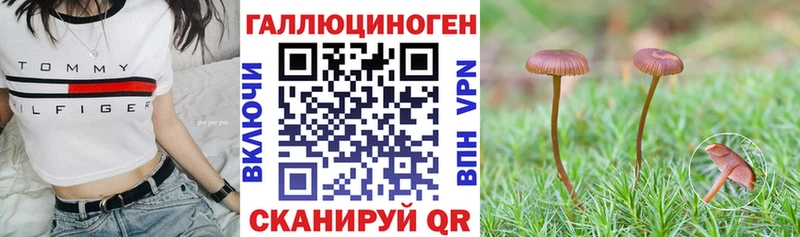 ОМГ ОМГ маркетплейс  сколько стоит  Знаменск  Псилоцибиновые грибы MAGIC MUSHROOMS 